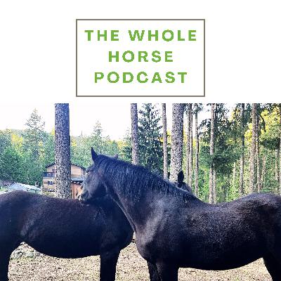 WH142 | It's in the safety that things fall apart - a Raven Moon farm update with Alexa