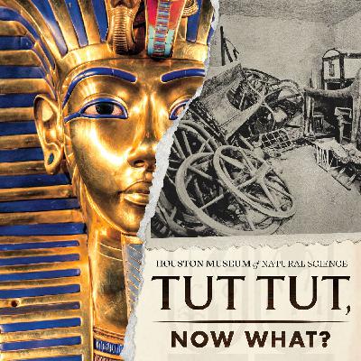 Ep 2: The Glint of Gold