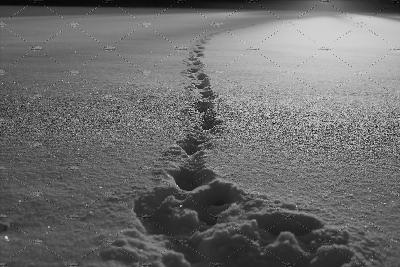 Fear of Falling Fear of Falling