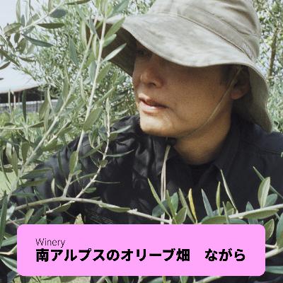 #6 【ワイン回】：小公子とオリーブの追求：湯浅純さん（南アルプスオリーブ畑　ながら）／山梨）