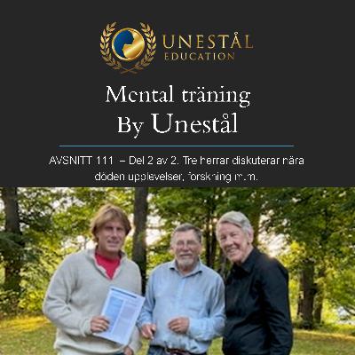 111 – Del 2 av 2. Tre herrar diskuterar nära döden upplevelser, forskning m.m.
