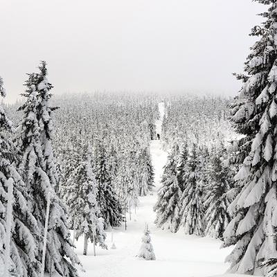 La série Polar Park a été tournée à Mouthe dans le Haut-Doubs ! La série Polar Park a été tournée à Mouthe dans le Haut-Doubs !