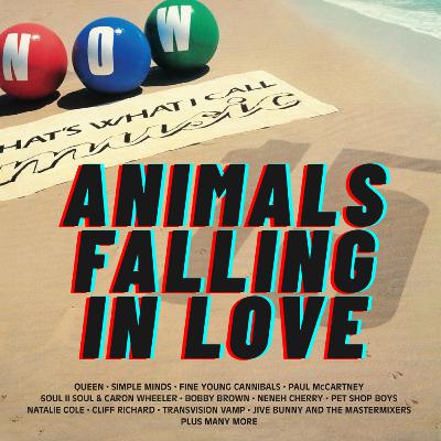 31. Now 15 | B Side | 1989 - 'I Thought I'd Hate It But I Didn't!'