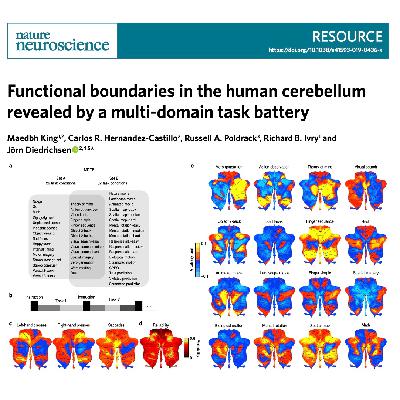 615-Functional Mapping of the Human Cerebellum