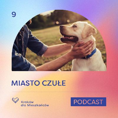Jak pracować z psem lękliwym? Rozmowa z Adrianną Polowiec z Dog Alert | Miasto Czułe #9