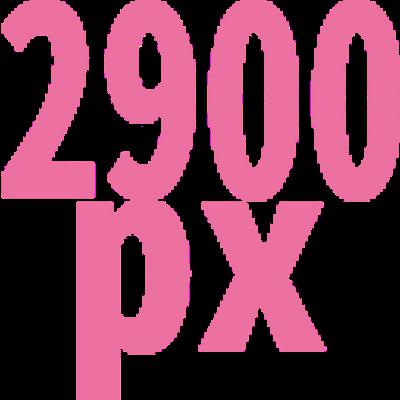 2900 x 2900