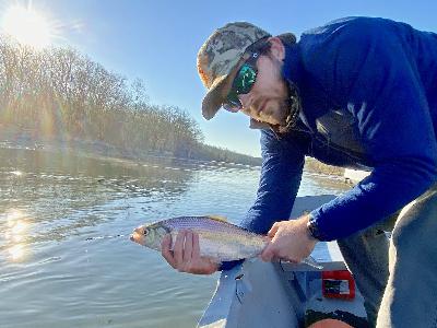 Shad Fishing and Restoring Fletchers Cove on the Potomac River