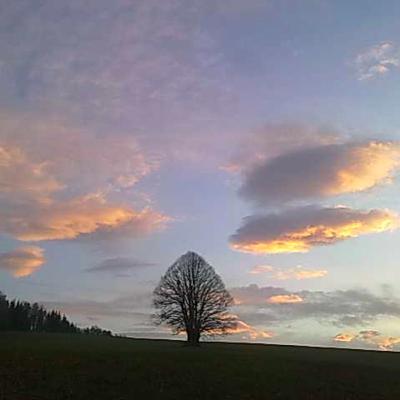 Sei doch einfach "nutzlos"! Lao Tse's Rat.