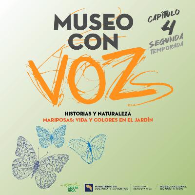 🦋 Mariposas: Naturaleza viva en el Jardín