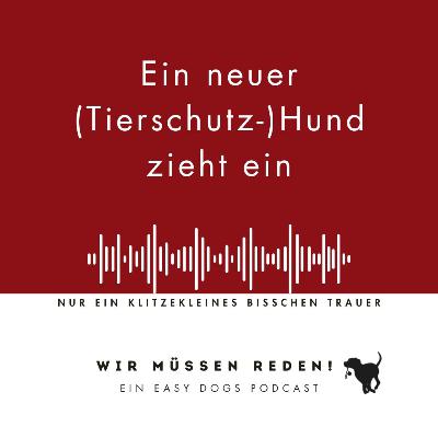 EIN NEUER (TIERSCHUTZ-)HUND ZIEHT EIN mit Lily Zrost