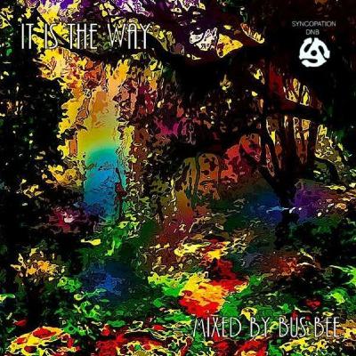 Bus Bee - It Is The Way - A Jungle Mix