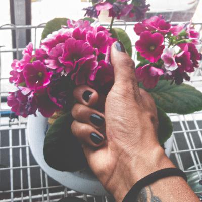 Apología del Ser Apología del Ser