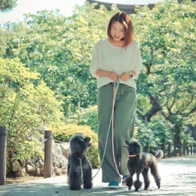 【#82】愛犬のしつけに大切な小野さん流「おもちゃの選び方」を解説！目的を分けた管理がポイント！ from Radiotalk