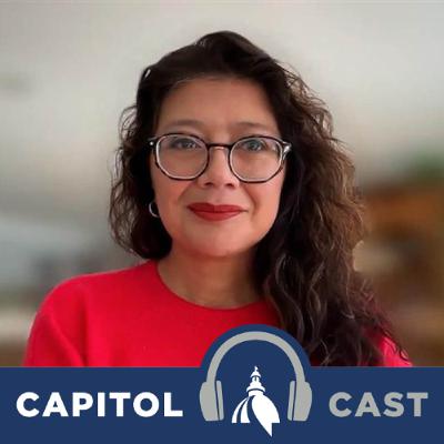 Election '26 - Karina Villa