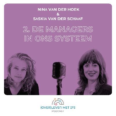 De managers in ons systeem De managers in ons systeem