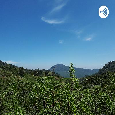 SURFING PESONA MENTAWAI SURFING PESONA MENTAWAI