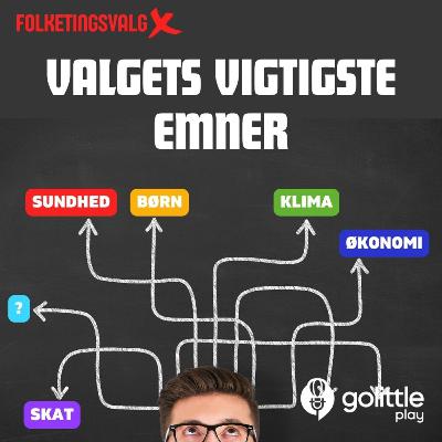 VALGSPECIAL: Valgets vigtigste emner