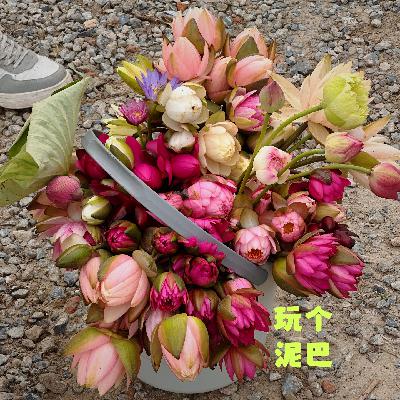 Vol. 71🎤哪个瞬间让你觉得夏天来了？