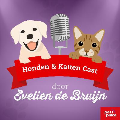 #6 - Evelien de Bruijn in gesprek Sander Hoogendoorn over zijn kat Kimi.
