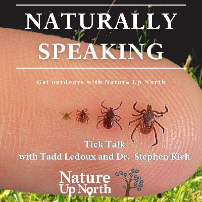 Tick Talk