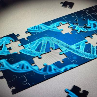 Life Is Complex Life Is Complex