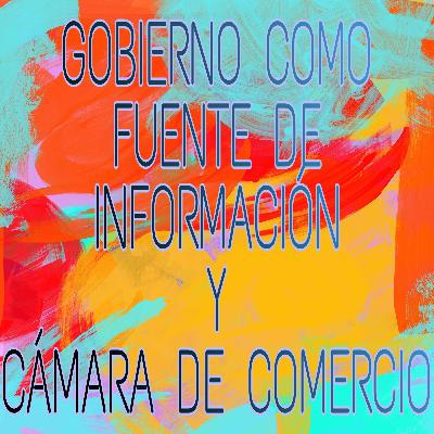 Gobierno como fuente de información y Cámaras de Comercio