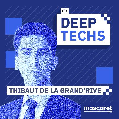 Delos : Microsoft et Google dans le viseur