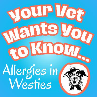076 Allergies in Westies