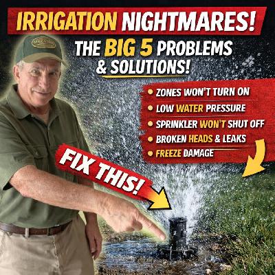 Why Your Irrigation System Isn’t Working: 5 Common Problems and Fixes