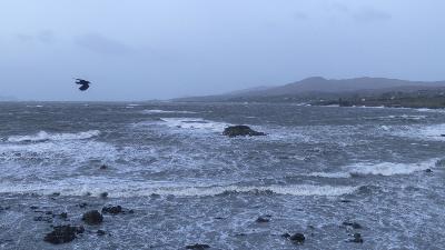 The Clean Up After the Storm The Clean Up After the Storm