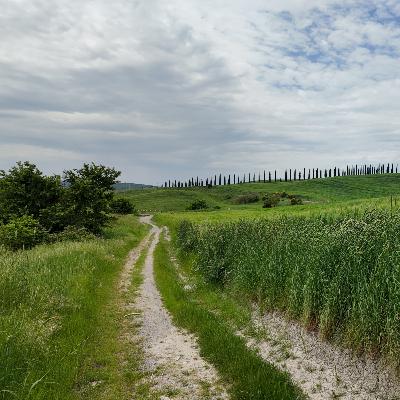 Fordeler med å bo på bygda