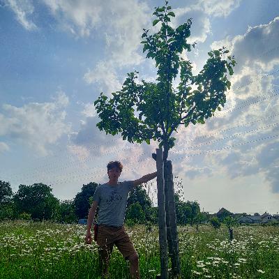 #17: Výsadbou to začíná! Bez následné péče to nemá smysl.