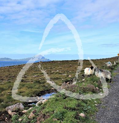 1 Thessalonians 5 16-18 - Three things we should do