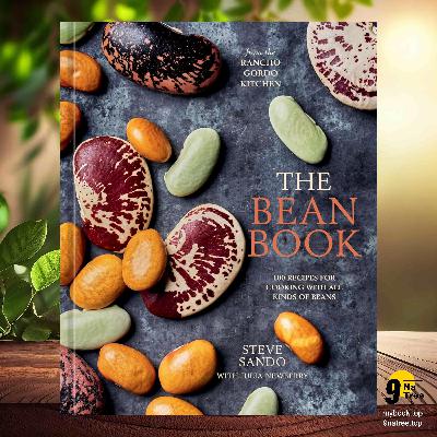 [Review] The Bean Book (Steve Sando) Summarized