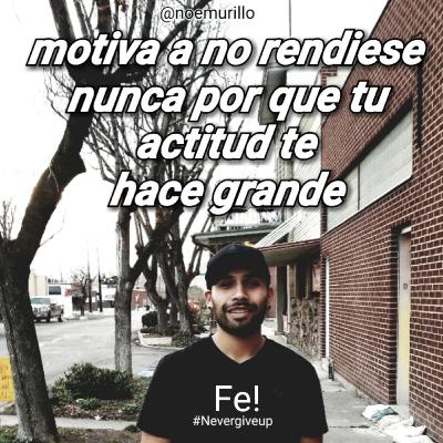 los errores