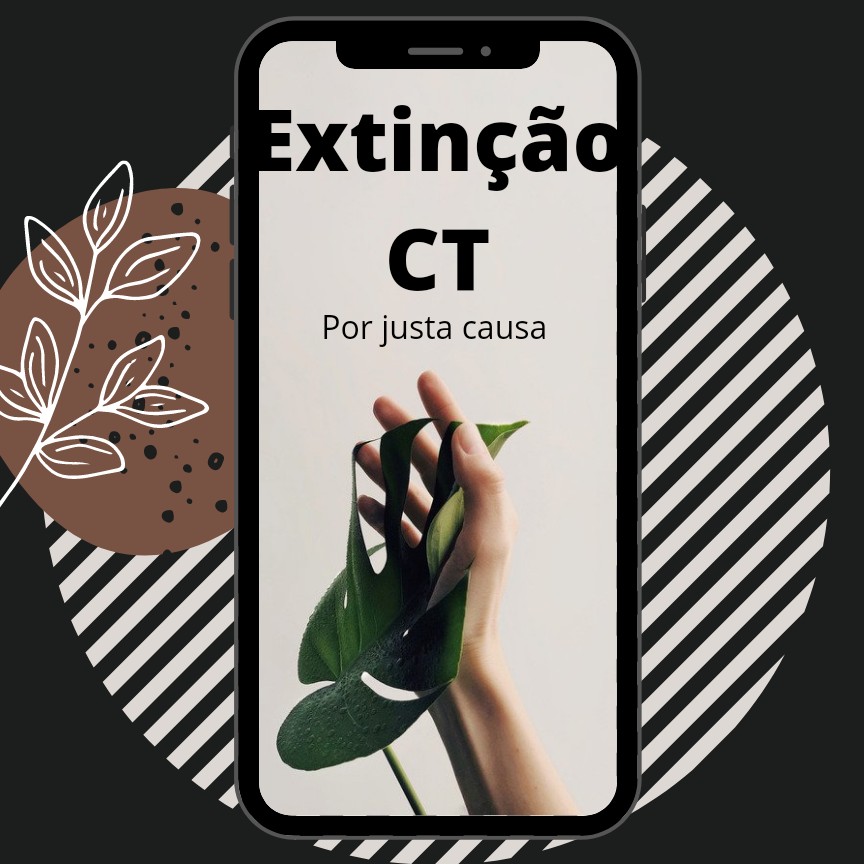 Drops de Direito do Trabalho by Andrea Pasold