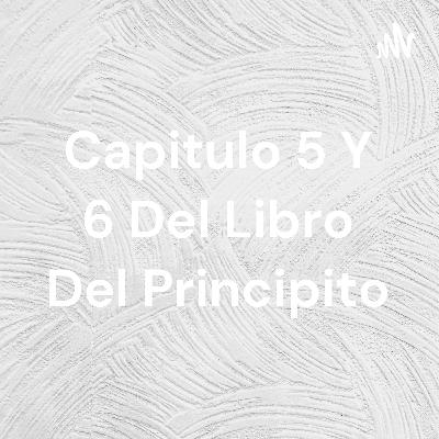 Capitulo 5 y 6 del libro del principito