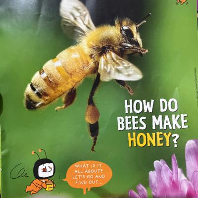 878 - How Do Bees Make Honey - Storybox