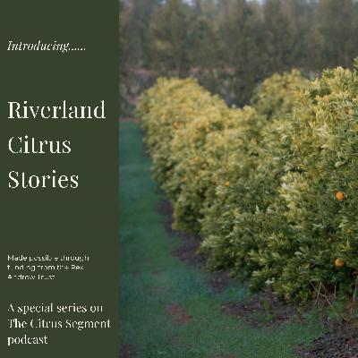 Riverland Citrus Stories - Trailer