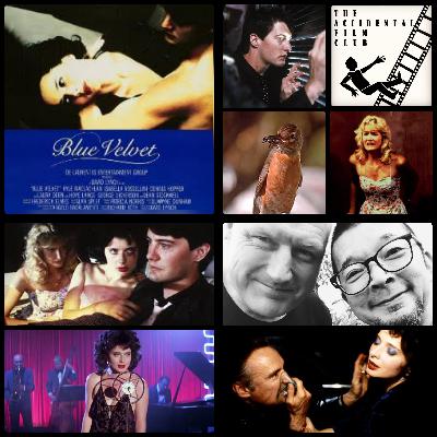 Episode 215: Blue Velvet "Yes, That's a Human Ear, All Right"