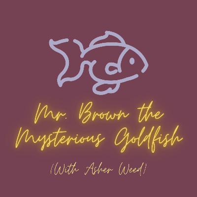 Mr. Brown the Mysterious Goldfish- and Other News (with Asher Weed) Mr. Brown the Mysterious Goldfish- and Other News (with Asher Weed)