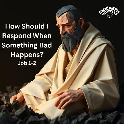How Should I Respond When Something Bad Happens? (Job 1-2)