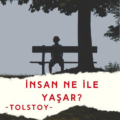 İnsan Neyle Yaşar-Lev Tolstoy-