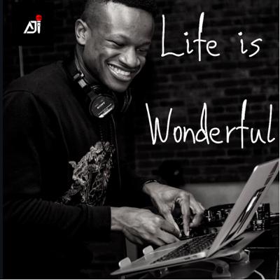 Life is Wonderful Life is Wonderful