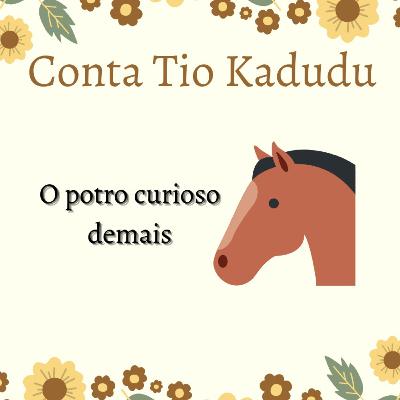 #2 O potro curioso demais