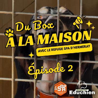 Du BOX à la MAISON - Épisode 2