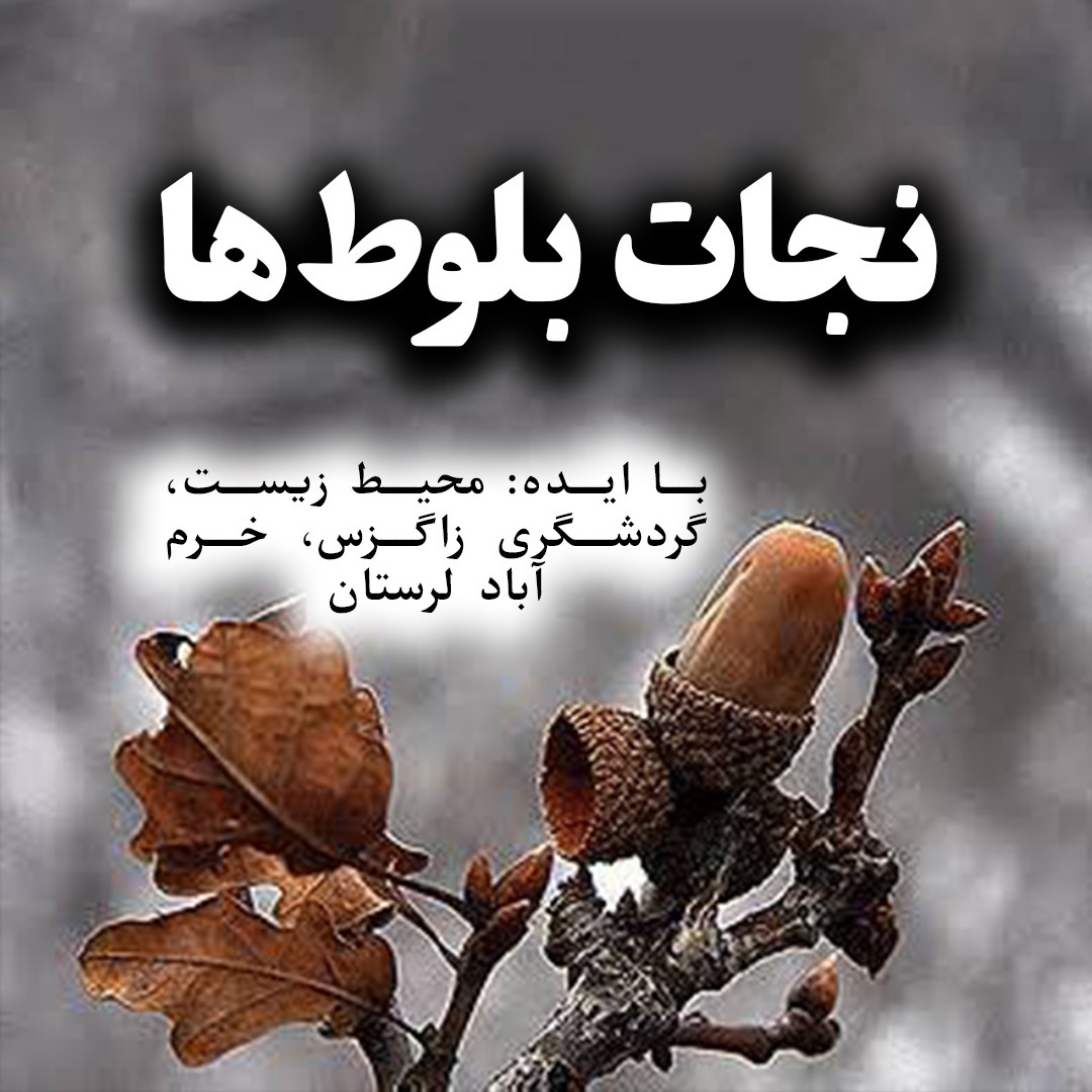 تحلیل نجات بلوط ها