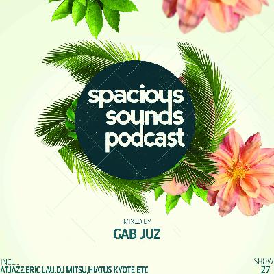Spacious Sounds Podcast SHOW #27