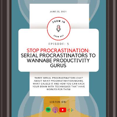 Ep 5 - Stop Procrastination: Serial Procrastinators to Wannabe Productivity Gurus