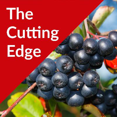 Episode #36: Aronia Berry Markets